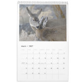 2016 Wildlife Wall Calendar by Steven Holt カレンダー (3月 2027)