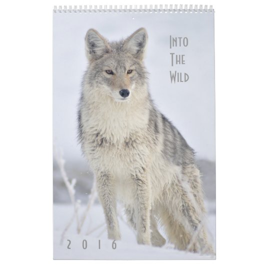 2016 Wildlife Wall Calendar by Steven Holt カレンダー (カバー)