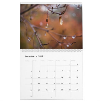 2017カレンダー、エリック・ジョンソン著写真 カレンダー