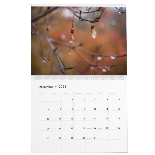 2017カレンダー、エリック・ジョンソン著写真 カレンダー (12月 2026)