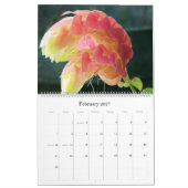 2017カレンダー: ジョアンMcQuaid著写真 カレンダー (2月 2027)