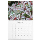 2017カレンダー: ジョアンMcQuaid著写真 カレンダー (1月 2027)