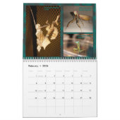 2017中型か大きいMANTIDFORUMのカレンダー カレンダー (2月 2026)