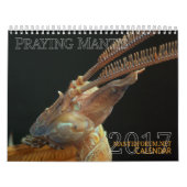 2017中型か大きいMANTIDFORUMのカレンダー カレンダー (カバー)