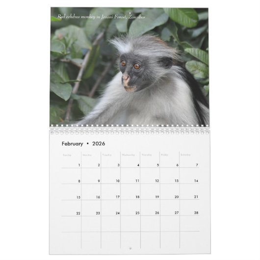 2017人のアフリカ人のサファリのカレンダー カレンダー (2月 2026)