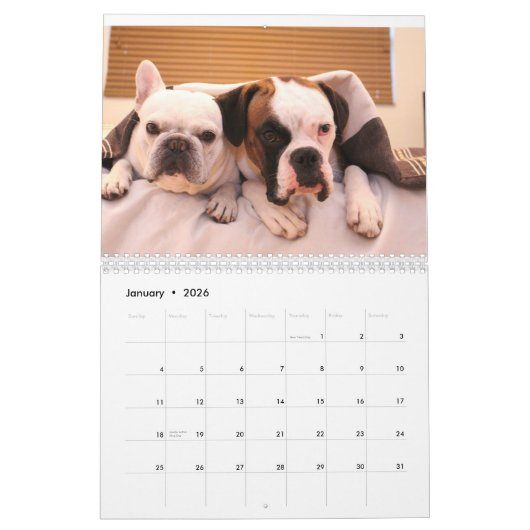 2017年のカレンダー カレンダー (1月 2026)