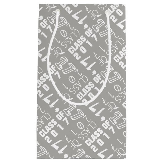 2017年のギフトバッグのクラス スモールペーパーバッグ (正面)