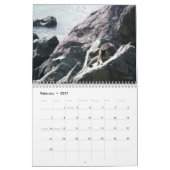 2017年のサンフアンの猫たち カレンダー (2月 2027)