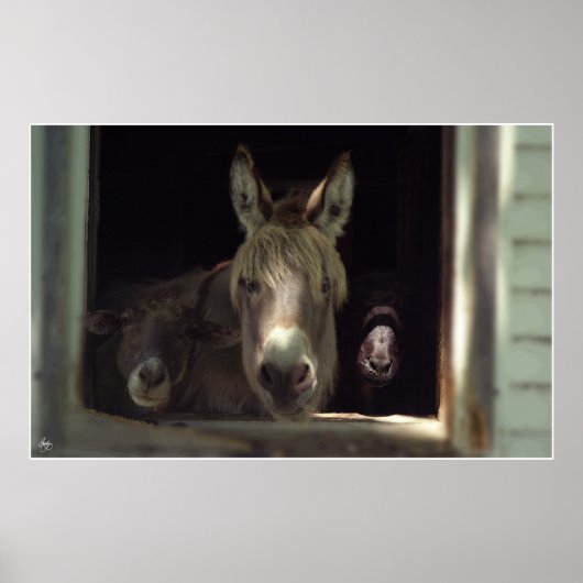 2017年のトリオ ポスター (正面)