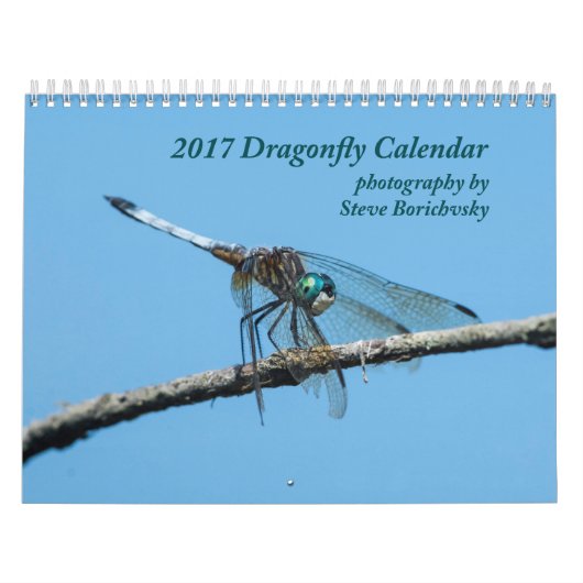 2017年のトンボのカレンダー カレンダー (カバー)