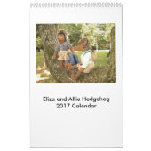 2017年のハリネズミの人形のカレンダー カレンダー (カバー)