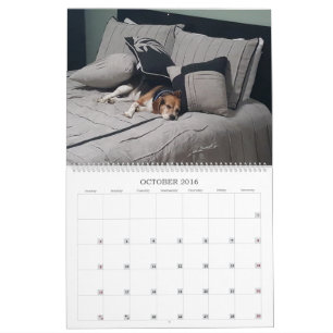 2017年のビーグル犬のカレンダー カレンダー