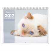 2017年の三叉の矛猫のカレンダー カレンダー (カバー)