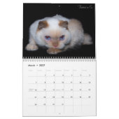 2017年の三叉の矛猫のカレンダー カレンダー (3月 2027)