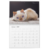2017年の三叉の矛猫のカレンダー カレンダー (1月 2027)