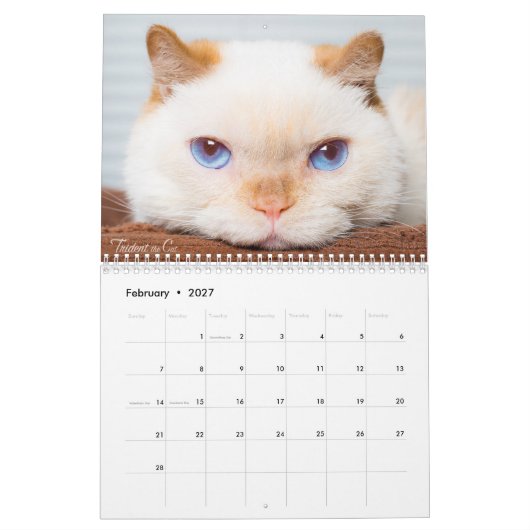2017年の三叉の矛猫のカレンダー カレンダー (2月 2027)