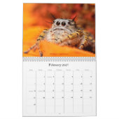 2017年の初旬のジャンプするクモ カレンダー (2月 2027)