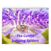 2017年の初旬のジャンプするクモ カレンダー (カバー)