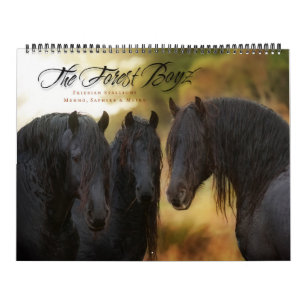 2017年の森林Boyzのカレンダー カレンダー