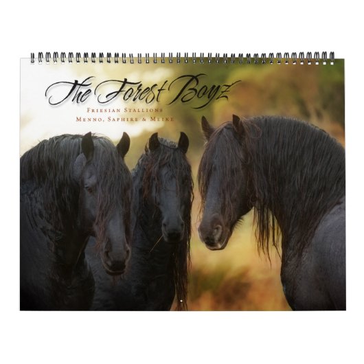 2017年の森林Boyzのカレンダー カレンダー (カバー)