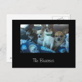 2017年の祭り ポストカード (正面/裏面)