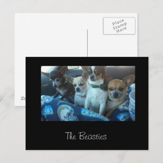 2017年の祭り ポストカード (正面/裏面)