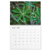 2017年の自然のカレンダー カレンダー (3月 2026)