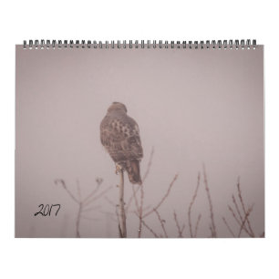 2017年の野性生物のカレンダー カレンダー