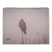 2017年の野性生物のカレンダー カレンダー (カバー)