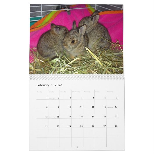 2017年の野性生物のベビーのカレンダー カレンダー (2月 2026)