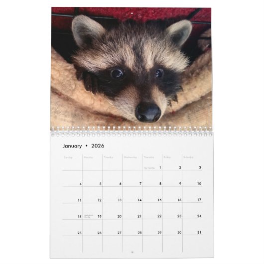 2017年の野性生物のベビーのカレンダー カレンダー (1月 2026)