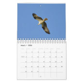 2017年の鳥カレンダー カレンダー (3月 2026)