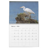 2017年の12羽の鳥(固定されるキャプション) カレンダー (2月 2026)