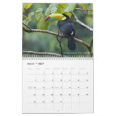 2017年の12羽の鳥(固定されるキャプション) カレンダー (3月 2027)