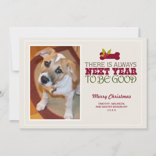 2017年は必ず来年 | 休日フォトカード シーズンカード (正面)