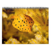 2017年は海底にカレンダーに記録します カレンダー (カバー)