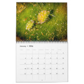 2017年は海底にカレンダーに記録します カレンダー (1月 2026)