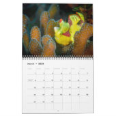 2017年は海底にカレンダーに記録します カレンダー (3月 2026)