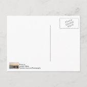 2017年ココアビーチ ポストカード (裏面)