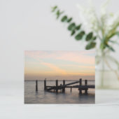 2017年ココアビーチ ポストカード (スタンド正面)