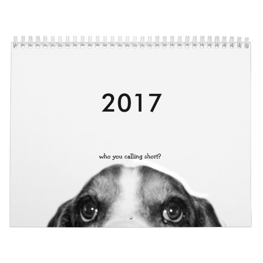 2017年Basset Houndカレンダー カレンダー (カバー)