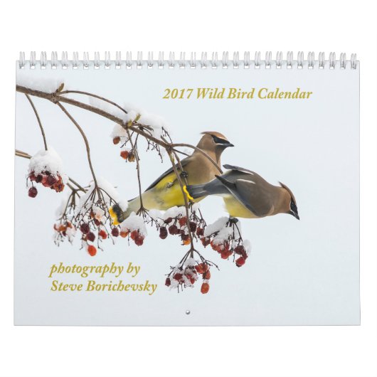 2017野生の鳥のカレンダー カレンダー (カバー)