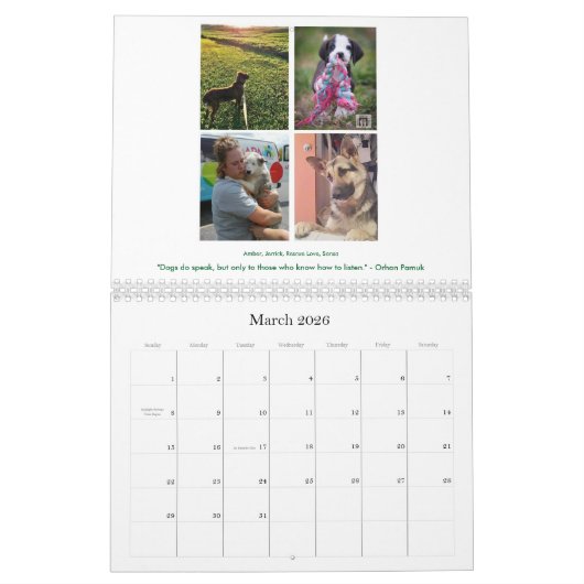 2017 R.A.V.E.の救助のカレンダー カレンダー (3月 2026)