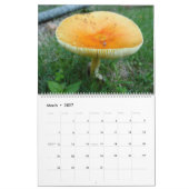 2018の景色のカレンダー カレンダー (3月 2027)