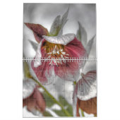 2018フルページイメージ カレンダー (2月 2026)