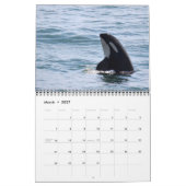 2018南あるシャチのカレンダー カレンダー (3月 2027)