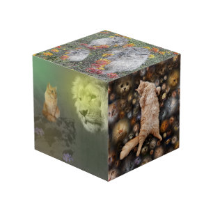 2018年に開催されたライオンとネコのフォトキューブ フォトキューブ