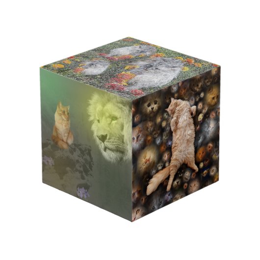 2018年に開催されたライオンとネコのフォトキューブ フォトキューブ (正面アングル)