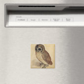 2018年のオウム マグネット (インサイチュ (食洗機))