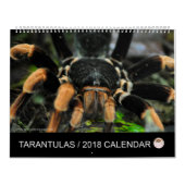 2018年のタランチュラのカレンダー カレンダー (カバー)